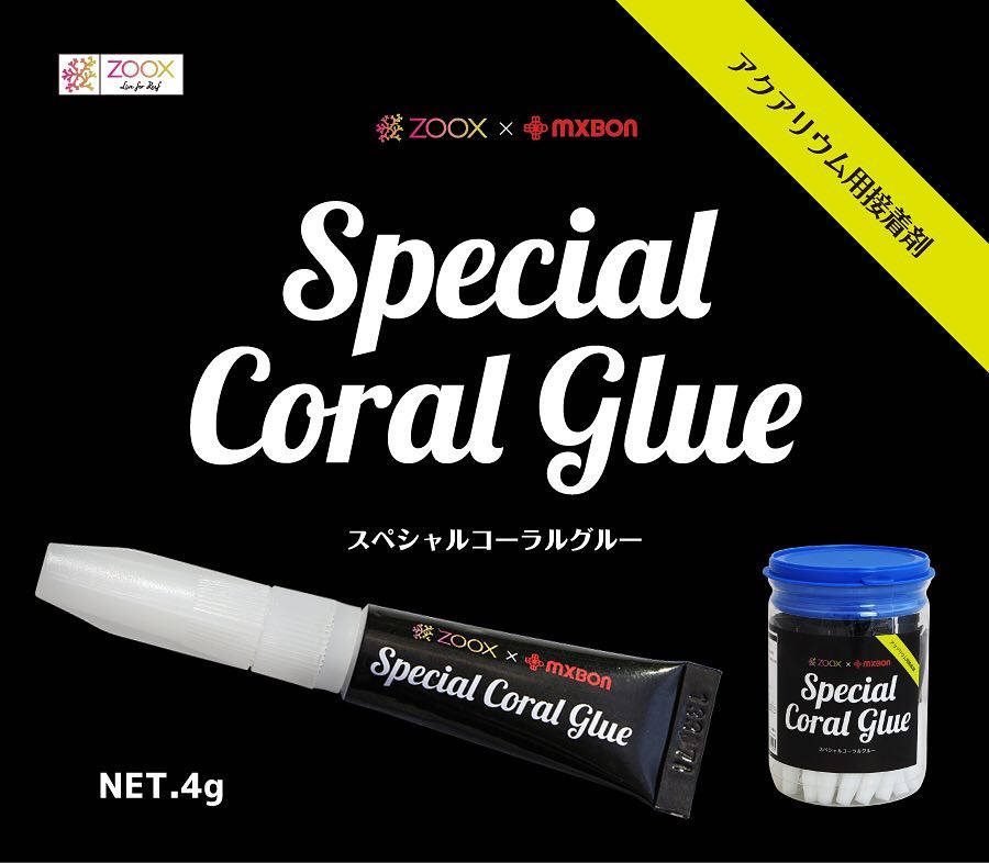 ZOOX AQUARIUM GLUE ZOOX