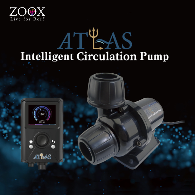 Inteligent CIrculation pump800X800 2
